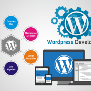 Wordpress Development (Copy)